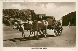 A-17-1639  :  YEMEN.   ADEN . BULLOCK CART. - Yémen