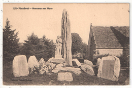 29 - Plozévet - Monument Aux Morts - Villard 7020 - Plozevet