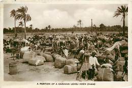 A-17-1660  :  YEMEN.   ADEN . A PORTION OF A CARAVAN LEHEJ - Yémen