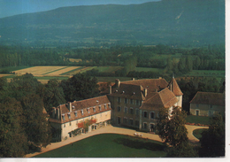 CP - PHOTO - BRANGUES - LE CHATEAU - R. 10024 - J. CELLARD - Brangues