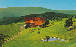AK Bleibach / Elztal Im Schwarzwald ~ Um 1975 - Emmendingen