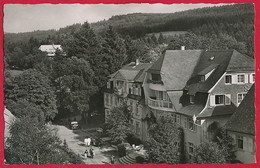 AK Hinterzarten Im Schwarzwald ~ 1963 - Hinterzarten