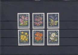 Autriche - Fleurs Diverses - Neufs** -  Année 1966 - Y.T. N° 1044/1049 - Ungebraucht