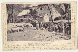 Lg7 - 3 - Remouchamps - Lavage De Moutons - Aywaille