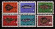 BULGARIA \ BULGARIE - 1965 - Poissons Divers - 6v** - Ongebruikt