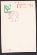Japan Commemorative Postmark, Firework Ancient Artifact (jch4370) - Other
