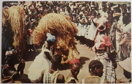 Guiné Portuguesa - Dança Do Compo (bissau) - Guinea Bissau