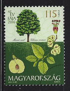 HUNGARY - 2016. SPECIMEN - Tree Of The Year 2016 : The Field Elm/Ulmus Minor - Usati