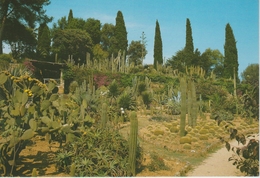 (BLA25) BLANES. JARDIN BOTANICO. CACTUS ... UNUSED - Sukkulenten