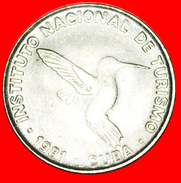 § HUMMINGBIRD: CUBA ★ 10 CENTAVOS 1981 INTUR MINT LUSTER!LOW START★ NO RESERVE! - Cuba