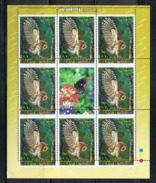 NORTH KOREA 2006 OWL MISS PRINTED PERFORATION ERROR SHEET - VERY RARE - Oddities On Stamps