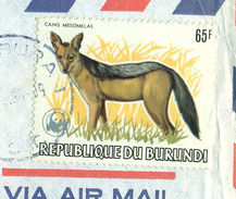 BURUNDI. Letter Send Send To Denmark. Annimal Protection Year. - Oblitérés