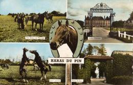 HARAS Du PIN  - - Bazoches Sur Höne