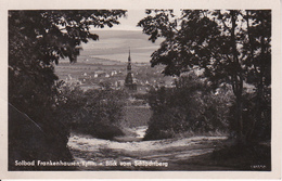 AK Solbad Frankenhausen - Kyffhäuser - Blick Vom Schlachtberg (27071) - Bad Frankenhausen