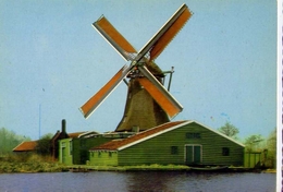 Westzaan - Papiermolen - De Scoolmeester - Formato Grande Non Viaggiata - E - Zaanstreek