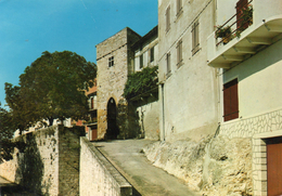 CASTELNAU DE MONTMIRAIL - Cité Médéviale - Porte Des Garrics Et Les Remparts - Castelnau De Montmirail