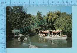 Disneyland - Elephant Batting Pool - 2 Scans - Disneyland