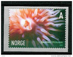 Norge Norway 2005 Sea Life (II), Anemone (Urticina Eques), Mi 1545, MNH(**) - Neufs