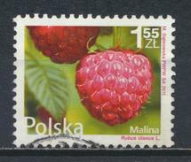 °°° POLONIA POLAND - Y&T N°4261 - 2011 °°° - Used Stamps