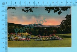 Asheville  N.C. -Mount Pisgah & The Rat, Cover Asheville 1945 On A 1¢ Stamp - 2 Scans - Asheville