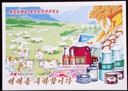 NORTH KOREA POSTCARD - Corea Del Norte