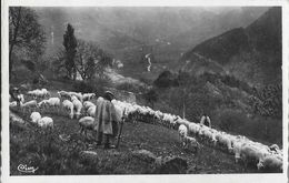 Chatillon-en-Diois (Drôme) - Berger Et Son Troupeau De Moutons Communal Dans Les Montagnes - Edition Combier - Carte CIM - Châtillon-en-Diois