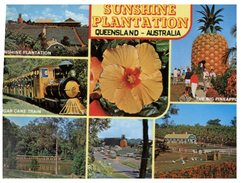 (519) Australia - QLD - Sunshine Plantation - Sunshine Coast