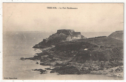 29 - PLOUGONVELIN - TREZ-HIR - Le Fort Bertheaume - Plougonvelin