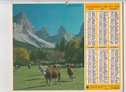 - CALENDRIER PTT Année 1981   - - Groot Formaat: 1981-90