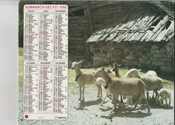 - CALENDRIER PTT Année 1986 - Chèvres - Formato Grande : 1981-90