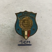 Badge (Pin) ZN004435 - Synchronised Swimming Mexico Federation / Association / Union (FMN) - Natation