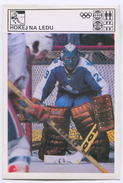 Ice Hockey, Eishockey - SVIJET SPORTA CARD - Tarjetas