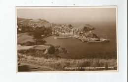 IFRACOMBE 14458 THE HARBOUR FROM HILLSBOROUGH - Ilfracombe