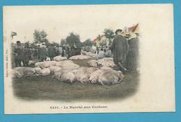 CPA 8431 - Métier Maquignon Le Marché Aux Cochons - (03) Edition Giletta Phot. NICE 06 - Andere & Zonder Classificatie