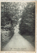 CPA - BELGIQUE - HABAY LA NEUVE - Sous Bois à Bologne - - Habay