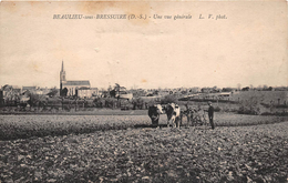 ¤¤  -  BEAULIEU-sous-BRESSUIRE  -  Une Vue Générale  -  Agriculture , Agriculteur - Attelage De Boeufs  -  ¤¤ - Other & Unclassified