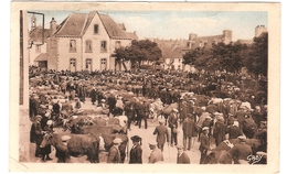 CPA Lesneven Le Champ De Foire 29 Finistère - Lesneven