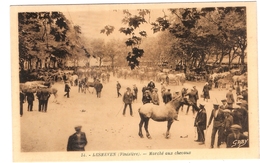 CPA Lesneven Marché Aux Chevaux 29 Finistère - Lesneven