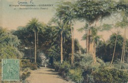 CPA Colorisée GUINEE CONAKRY KONAKRY Boulevard Circulaire Tombo + Timbre + Cachet 1908 - Guinée