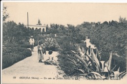 CPA MAROC OUDJA Un Coin Du Jardin Public Animée Avec Enfants - Editeur Maison Universelle - Sonstige & Ohne Zuordnung