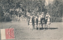 CPA ALGERIE Manoeuvre De Spahis - Sonstige & Ohne Zuordnung