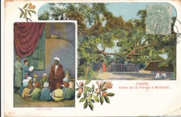 CPA EGYPTE LE CAIRE Arbre De La Vierge à Matarieh Et Ecole Arabe - Le Caire