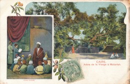 CPA EGYPTE Carte Précurseur 1904 LE CAIRE Arbre De La Vierge à Matarieh Et Ecole Arabe - El Cairo