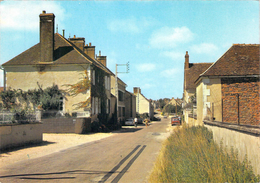 Carte Postale Semi Moderne Héry La Grande Rue   89 Yonne - Hery