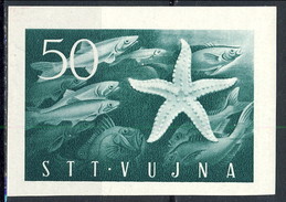 Trieste Zona B 1952 Dal Foglietto N. 3 D. 50 Verde Azzurro NON DENT. MNH Cat. € 60 - Nuevos