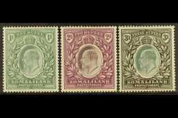 1904 1r, 2r, And 3r, SG 41/43, Fine Mint. (3 Stamps) For More Images, Please Visit... - Somaliland (Protectorate ...-1959)
