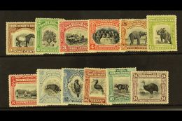 1909-23 Pictorial Set To 24c (less 3d Green), SG 158/176, Fine Mint. (12) For More Images, Please Visit... - North Borneo (...-1963)