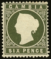 1886-93 6d Olive-green With Sloping Label Variety, SG 32da, Very Fine Mint. For More Images, Please Visit... - Gambia (...-1964)