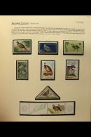 BIRDS - GAME BIRDS An Attractive & Extensive Collection, Neatly Presented On Written Up Pages In A Brace Of... - Unclassified