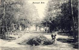 Bree Booneput 1906 - Bree